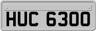 HUC6300