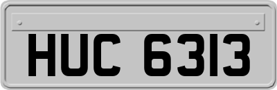 HUC6313