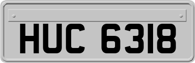 HUC6318