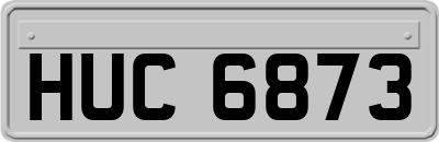 HUC6873