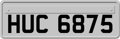 HUC6875