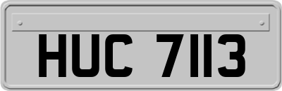 HUC7113