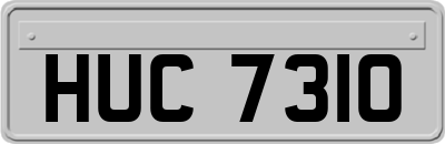 HUC7310