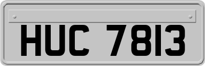 HUC7813