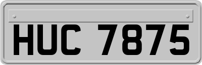 HUC7875