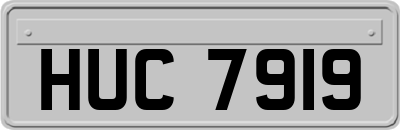 HUC7919