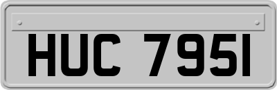 HUC7951