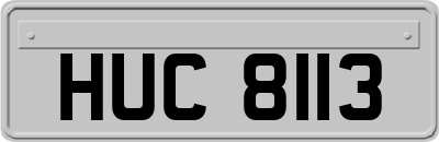 HUC8113