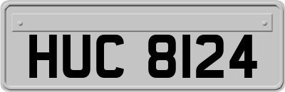 HUC8124