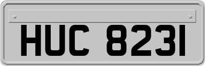 HUC8231