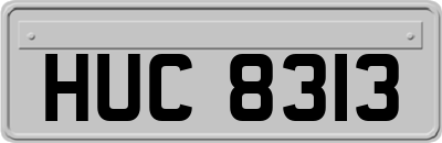 HUC8313