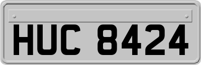 HUC8424