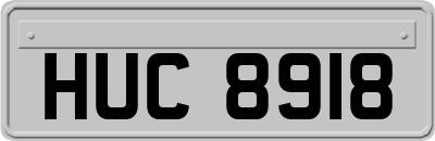 HUC8918