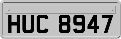 HUC8947