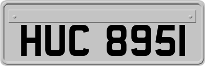 HUC8951