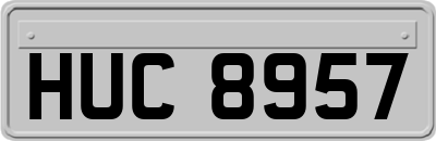 HUC8957