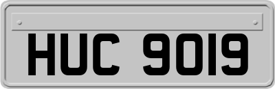 HUC9019