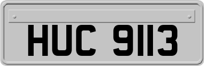 HUC9113