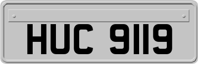 HUC9119