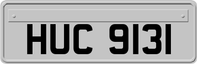 HUC9131