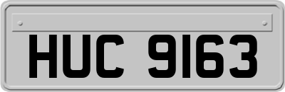 HUC9163