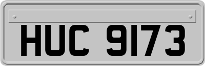 HUC9173