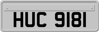 HUC9181