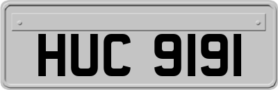 HUC9191