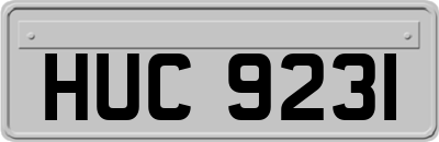 HUC9231