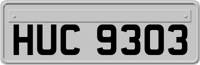 HUC9303