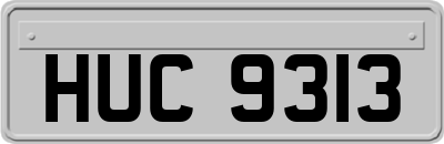 HUC9313