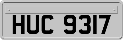 HUC9317