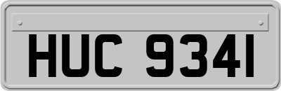 HUC9341