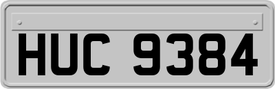 HUC9384