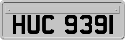 HUC9391