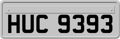 HUC9393