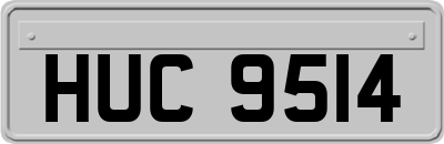 HUC9514