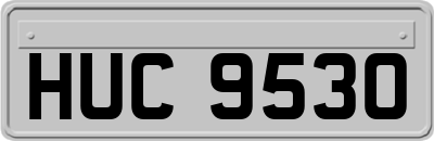 HUC9530