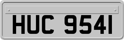 HUC9541