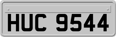 HUC9544