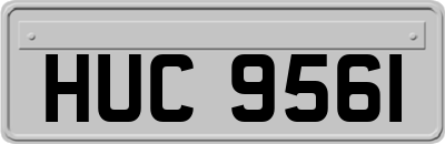 HUC9561