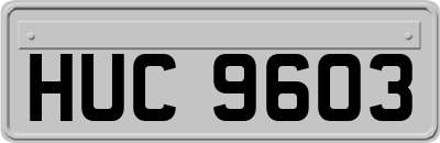 HUC9603