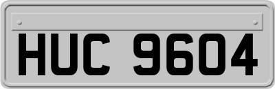 HUC9604