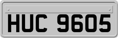 HUC9605