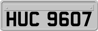 HUC9607