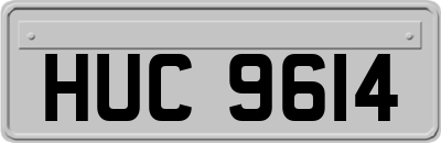 HUC9614