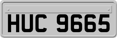 HUC9665