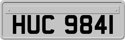 HUC9841