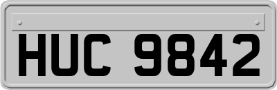 HUC9842