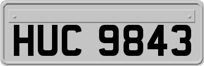 HUC9843